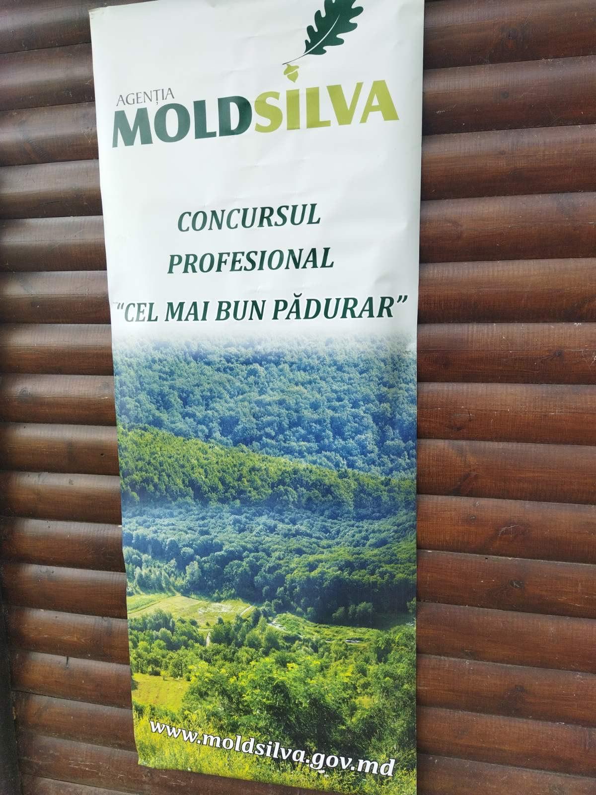 Moldsilva, concurs de padurar