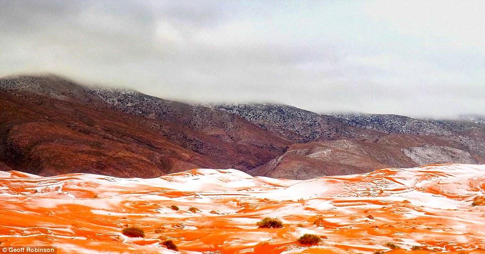 The photographer said: 'Everyone was stunned to see snow falling in the dessert, it is such a rare occurrence'