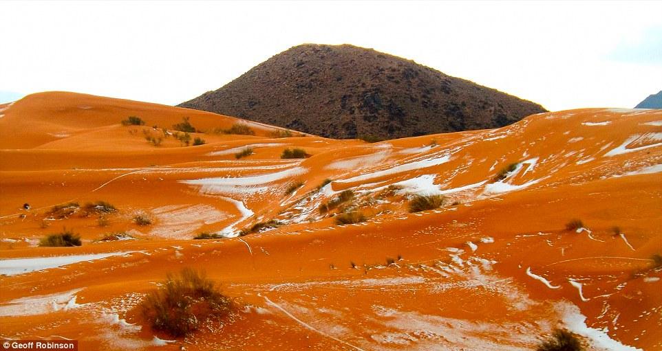 It made for particularly unusual festive snowy scenes yesterday afternoon in Algeria